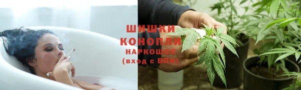 шишки Богородицк